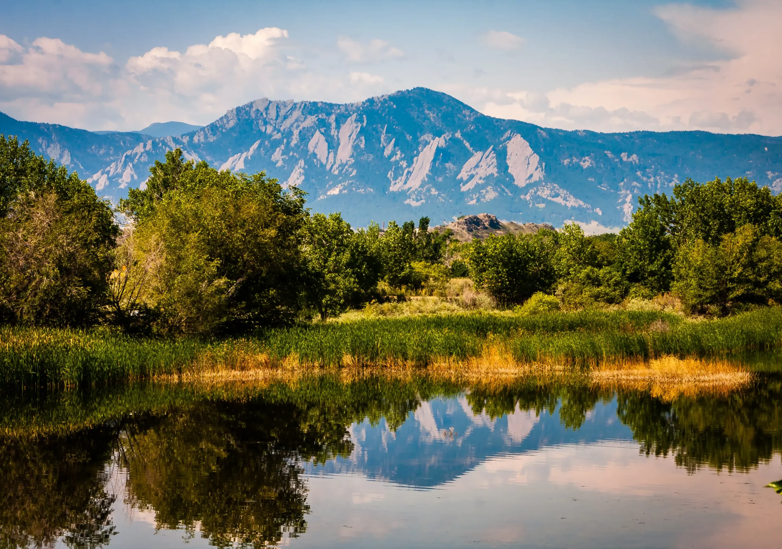 landscape photograph with a large mountain in the background trees mid-ground and lake foreground