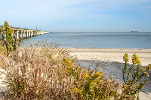 photo looking out at a vast bay and long bridge over the water from shore