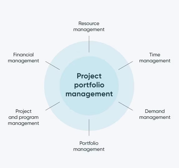 Diagram describing different components that make up PPM as a practice.