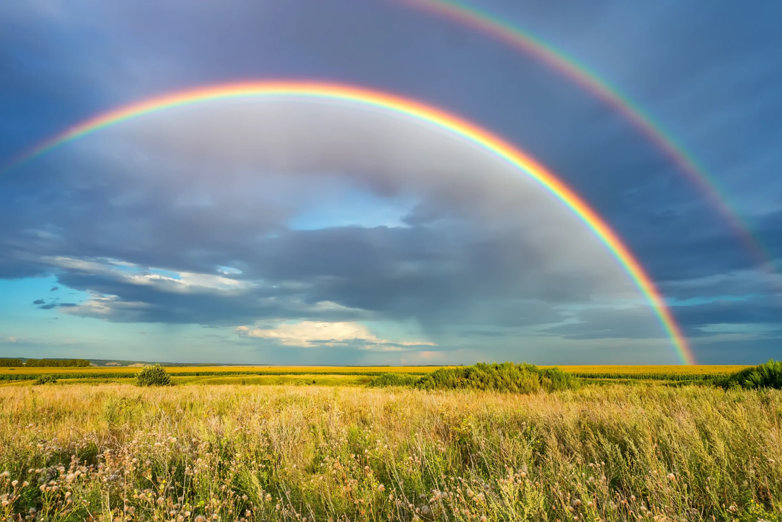Rainbows cutting through dark sky over field