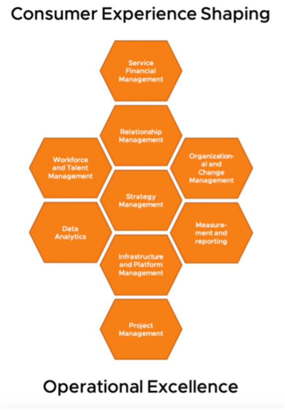 Diagram of The Zone of Confluence