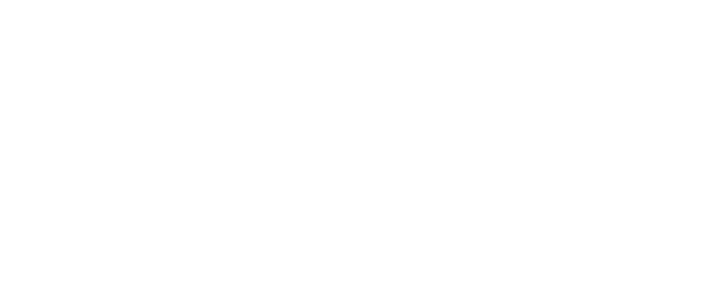 Texas DIR Logo